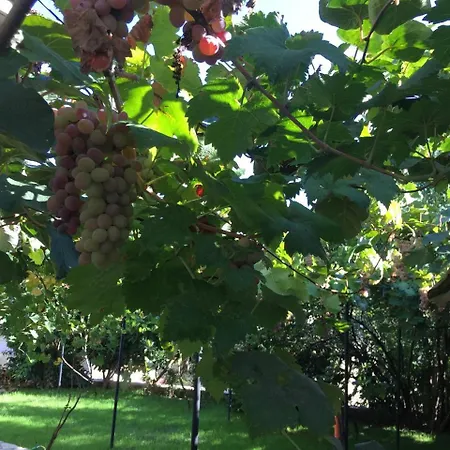 Affittacamere Culli 3*