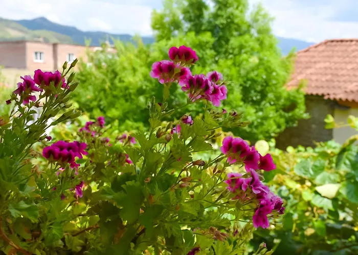 Culli Гостевой дом 3*